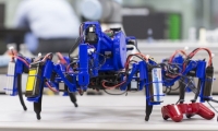 Pavoučí robotická armáda ve službách vědy